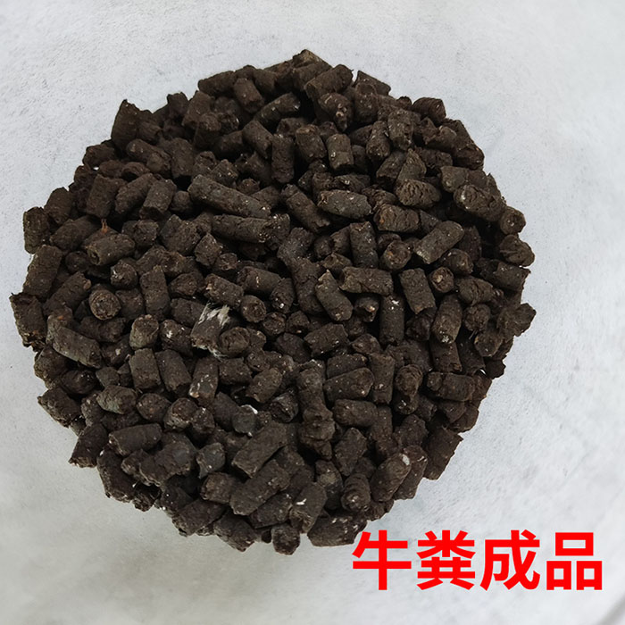 牛糞對輥擠壓造粒機(jī) 干粉加工顆粒機(jī)成品